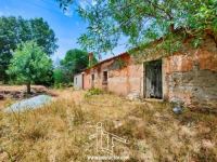 Farm with 6,6 Hectares and Dwelling House - Vale Prazeres - Fundão - ID: 21-11823