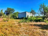 Petite Ferme avec Annexe et Eau Abondante - Escalos Cima - Castelo Branco - ID: 21-11840